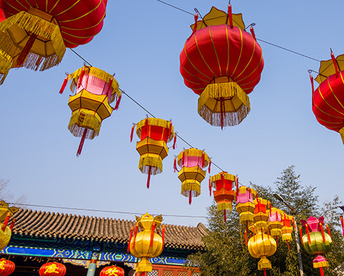Traditional Chinese Red Lantern Hanging On Tree, celebrating Chinese New Year.